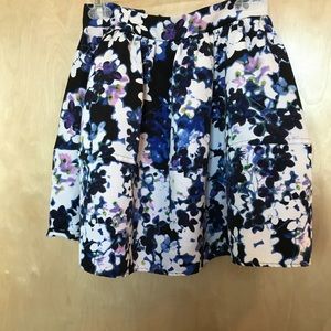 Express skirt